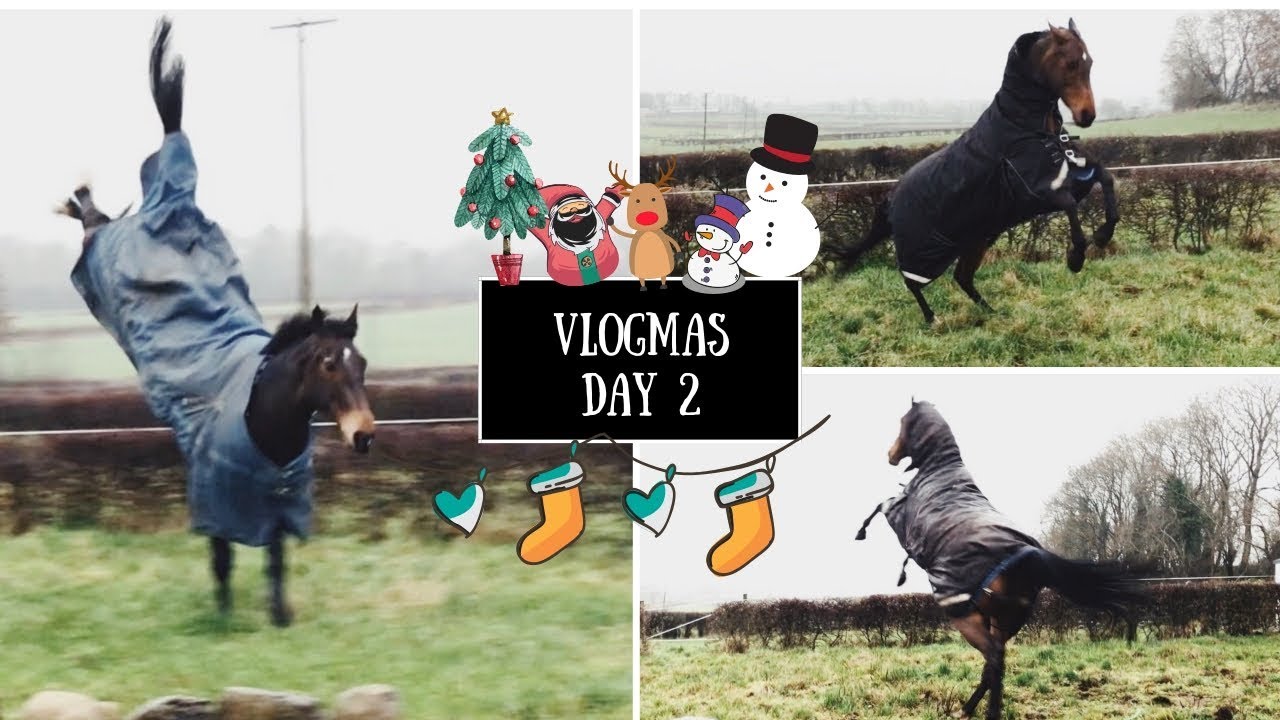 VLOGMAS 2 | Kes and Vic go on holiday.