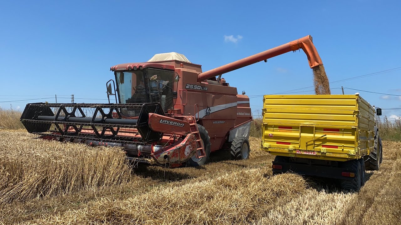 800 KİLO BUĞDAY 800 KİLO BALYA