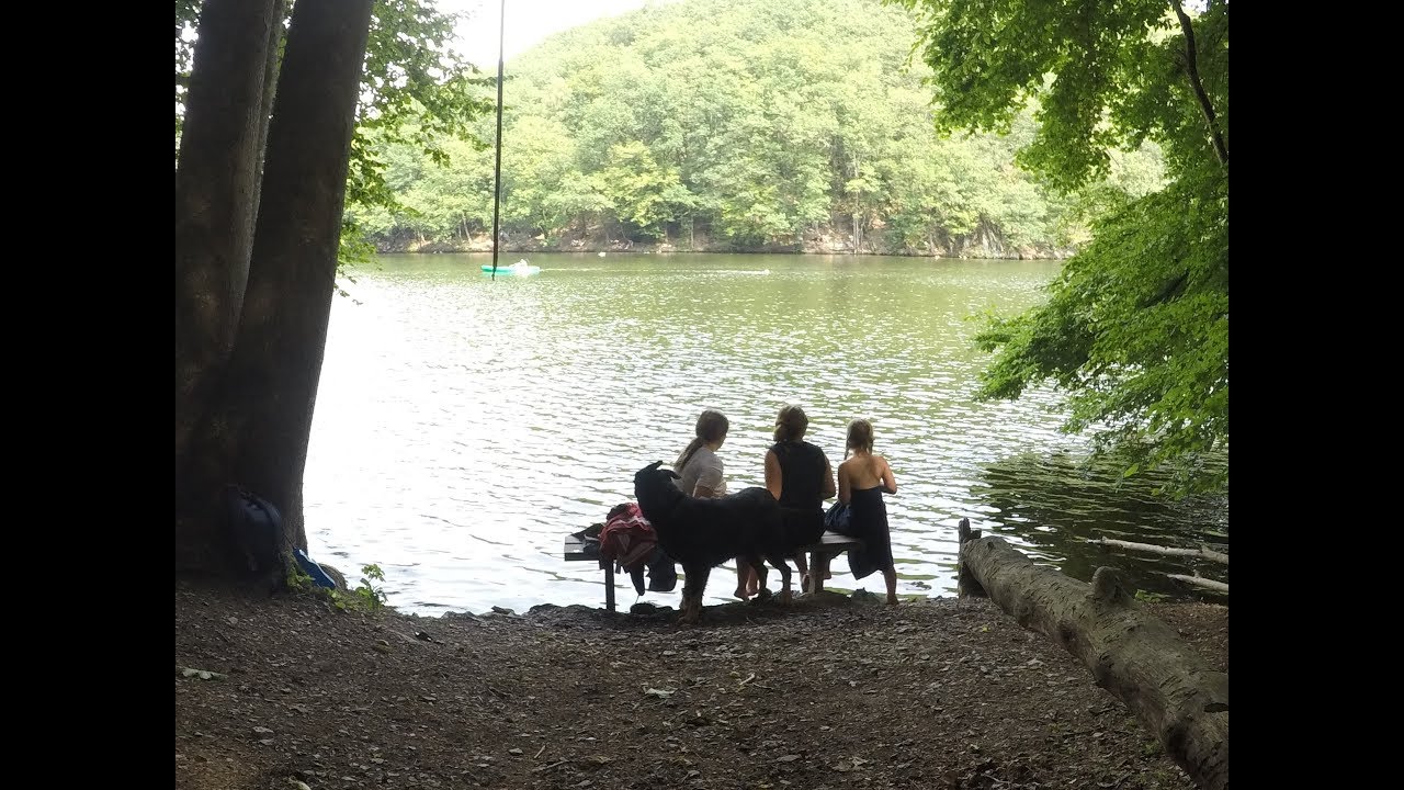 Wandelen Waalse Ardennen Engreux 2 Houffalize