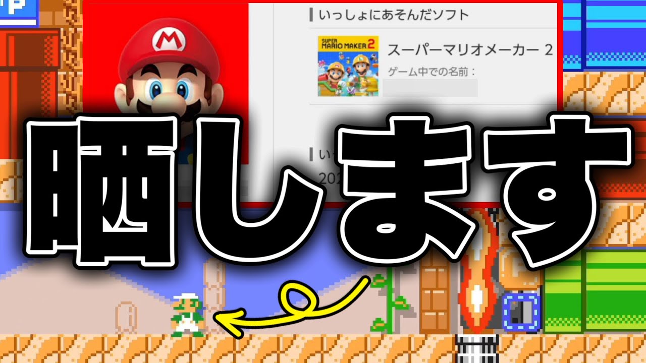 害悪キッズへ。マリメの治安のためにもこういう行為は本当にやめて下さい。【マリオメーカー2/マリメ2】