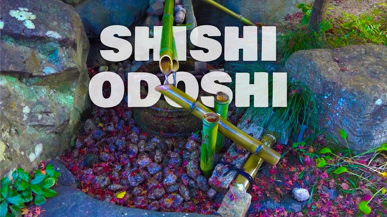 Shishi odoshi sound, japanese bamboo water fountain sound, bamboo pipe sound, japanese zen garden