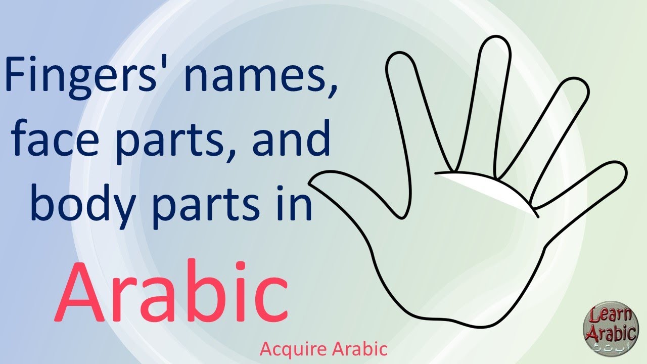 Learn Arabic the easiest way- Fingers' names, face parts, and body parts in Arabic.