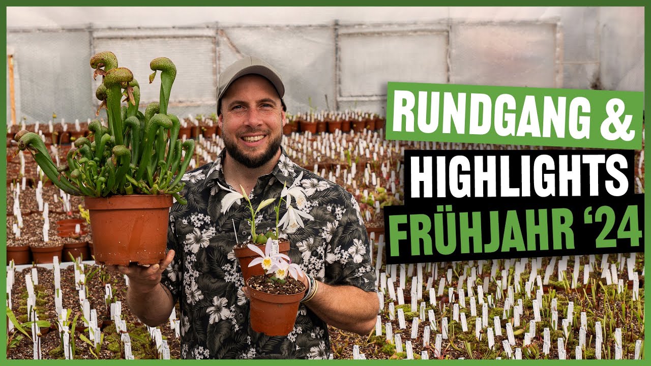 #246 Rundgang durch´s Gewächshaus im März 2024