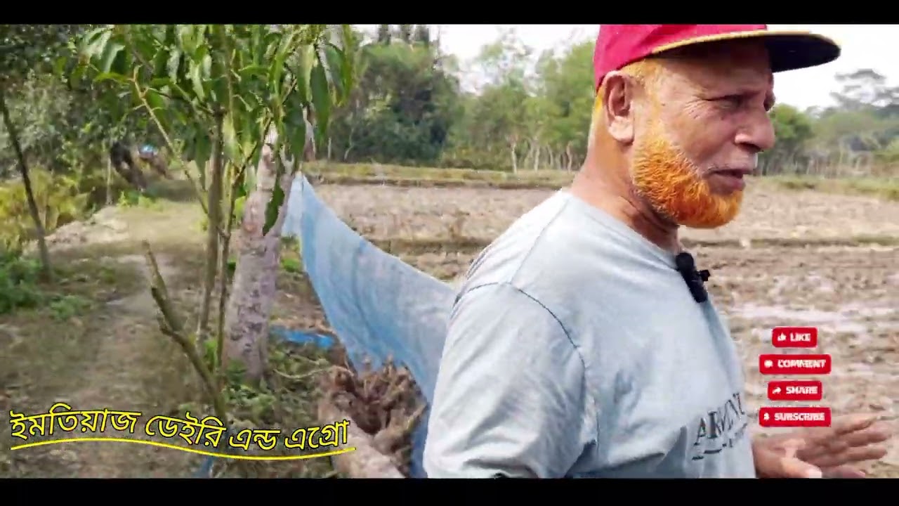 ঘাসের জন্য জমি চাষ