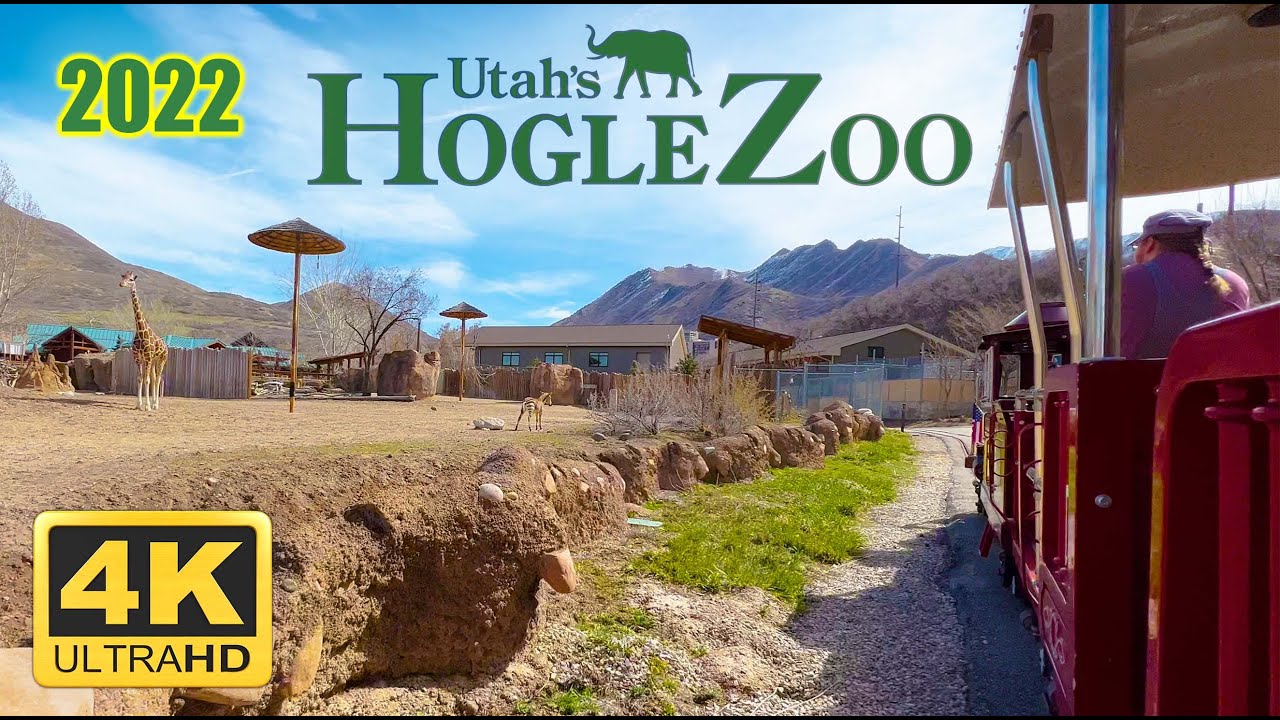 Zoofari Express Train (4K) POV - Utah's Hogle Zoo 2022