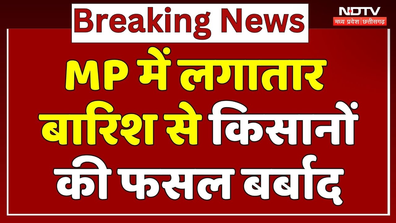MP Rain Alert: Madhya Pradesh में लगातार बारिश से Farmers की फसल बर्बाद |Weather Update | Heavy Rain