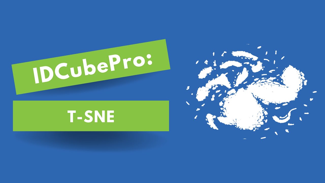 How to Use t-SNE