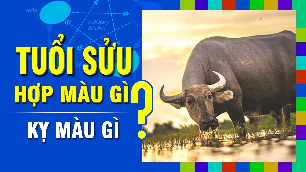 TUỔI SỬU Hợp M&Agrave;U G&Igrave;? Kỵ M&agrave;u N&agrave;o Nhất? Chọn M&agrave;u Sắc Đ&uacute;ng Phong Thủy Để Đ&oacute;n May Mắn