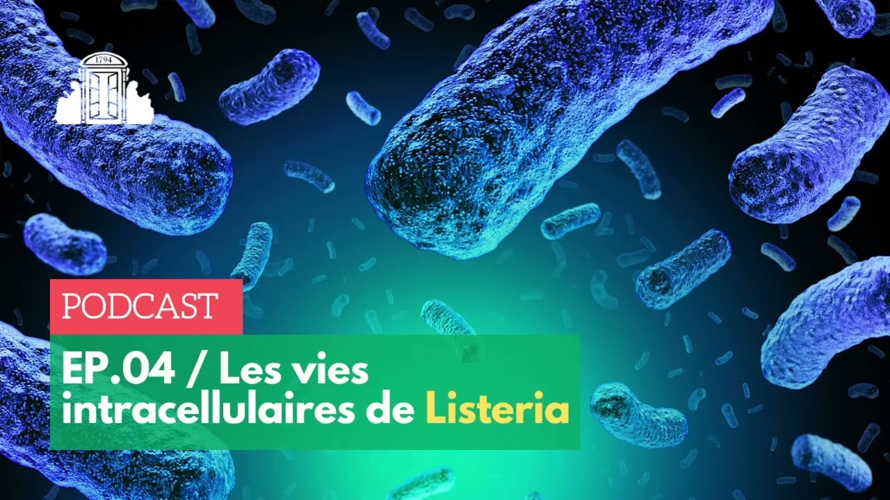 🎙️#4 – Le mystère de la bactérie Listeria | ENS-PSL