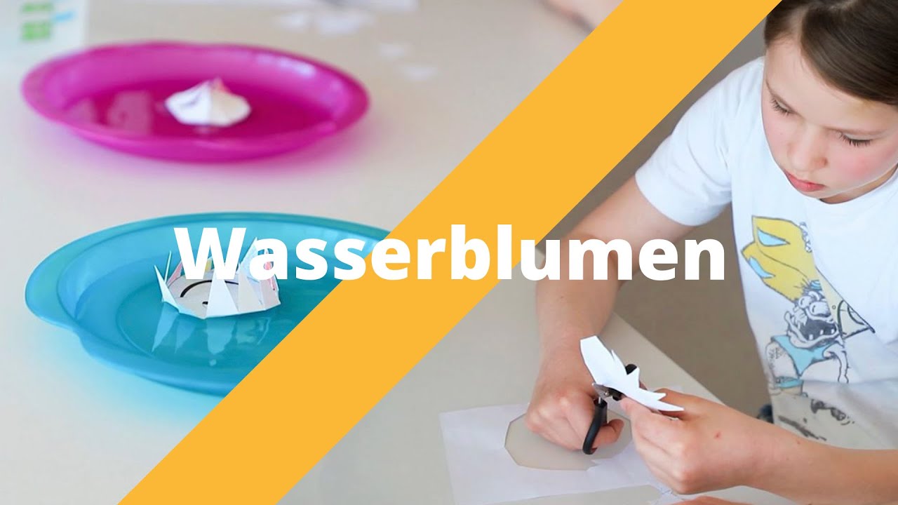 Wasserblumen - Experimente für zuhause