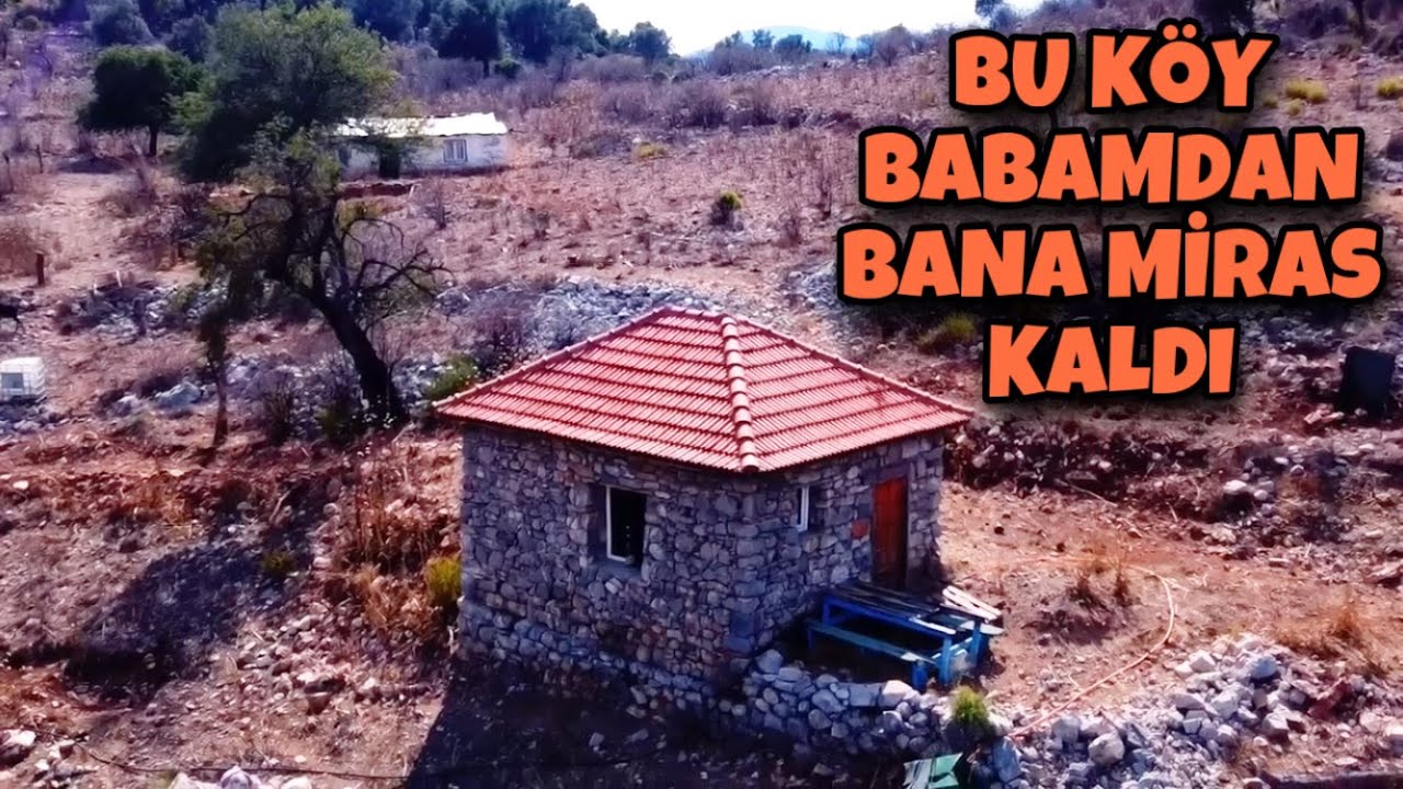 BU DENİZE SIFIR KÖYDE TEK YAŞAYAN AİLE BİZ KALDIK VE ATALARIMDAN KALAN İŞİ DEVAM ETTİRİYORUM