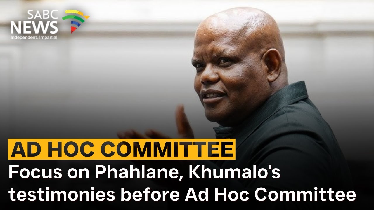 DISCUSSION | Focus on Phahlane, Khumalo's testimonies before Ad Hoc Committee: Andy Mashaile