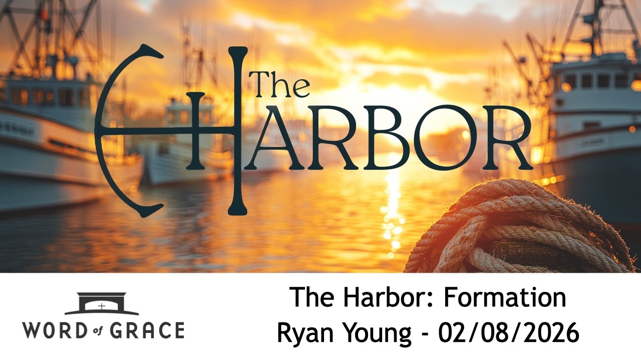 The Harbor: Formation