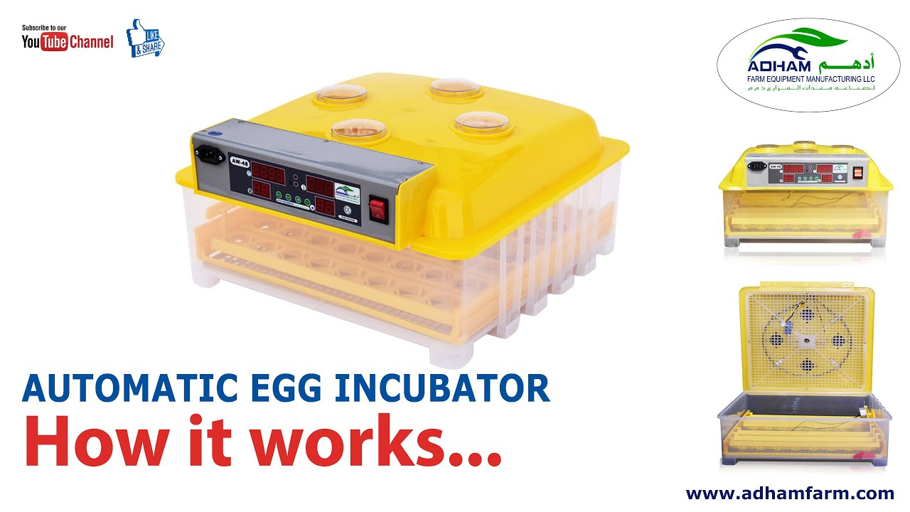 Digital Egg Incubator | How to operate the machine