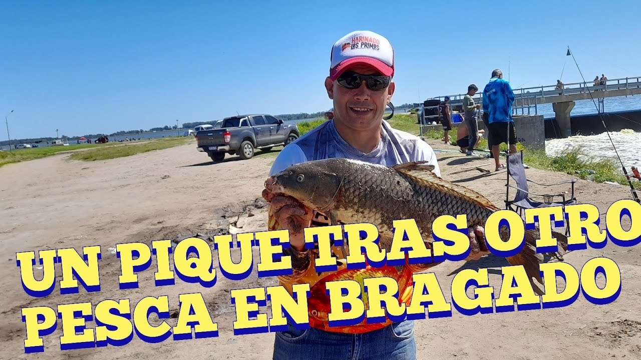 UN PIQUE TRAS OTRO ,PESCA EN BRAGADO /MECHITA /PESCA2022/PESCA CON AMIGOS/PESCA EN BRAGADO/MECHITA