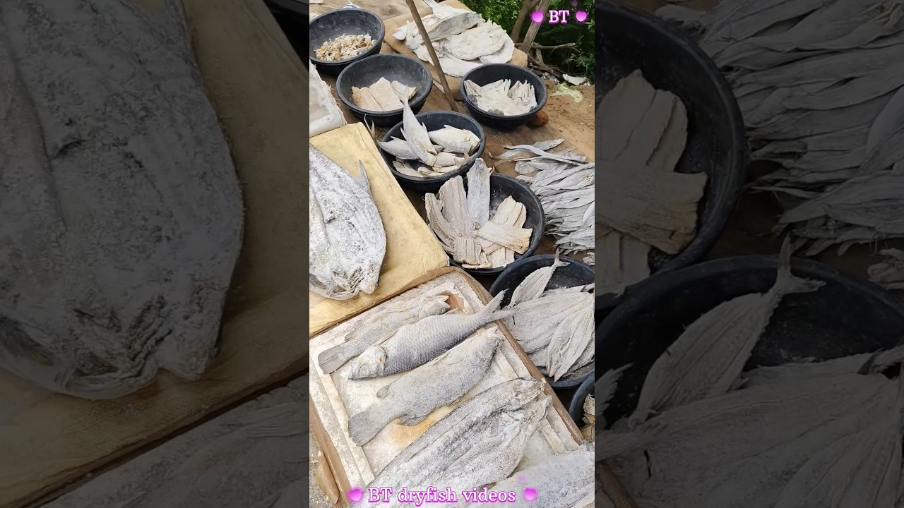 all new dryfishes #best dryfishes #BT dryfishes videos #viral dryfish cutting videos #penumudivillag