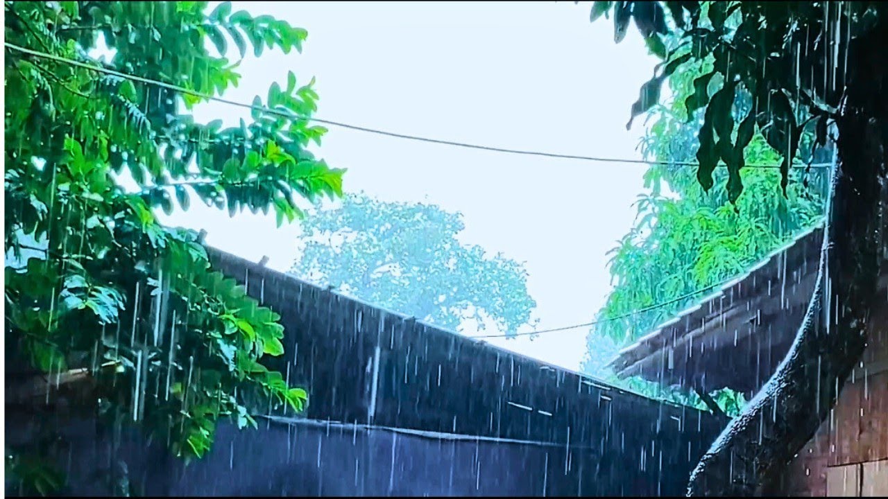 Dark Rainy Day in the Garden - Heavy Rain Sounds ASMR - No Music