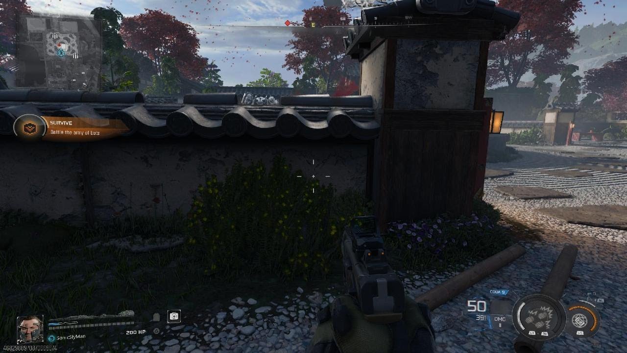 Call of Duty pro