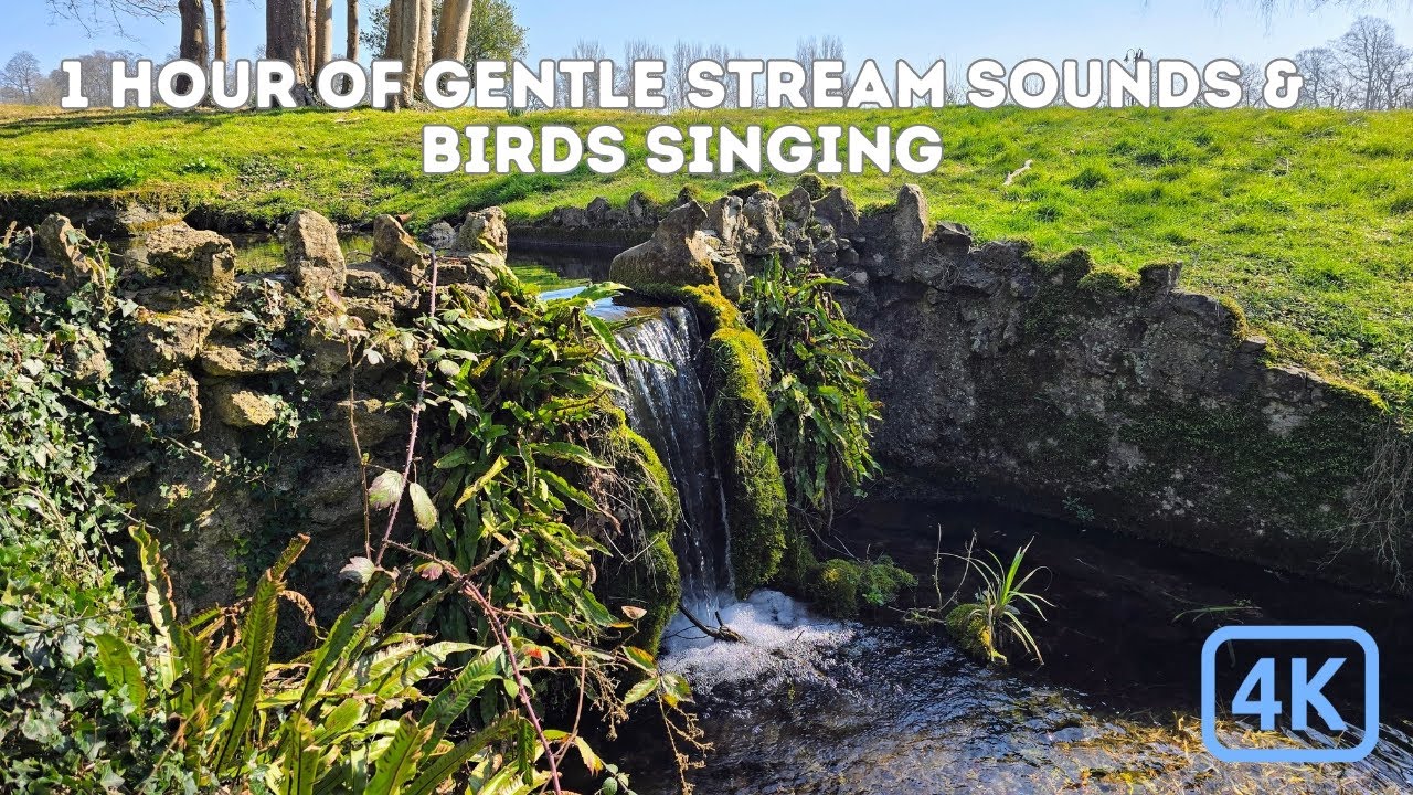 1 Hour of Gentle Stream Sounds in the English Countryside | Calm, Sleep, Meditation