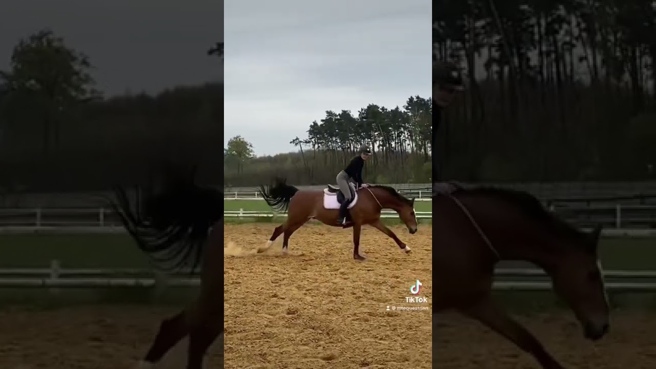 Jeździliście kiedyś na cordeo?