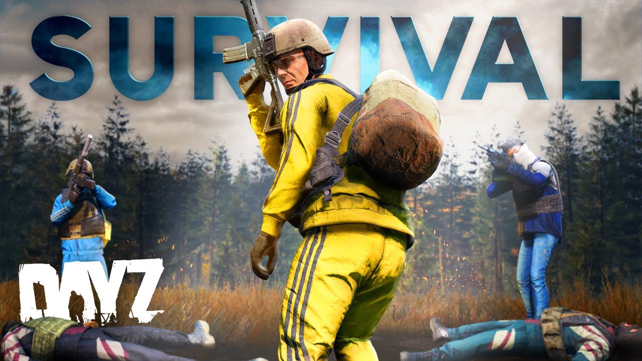 How a 13,000 Hour DayZ Player Survives Solo