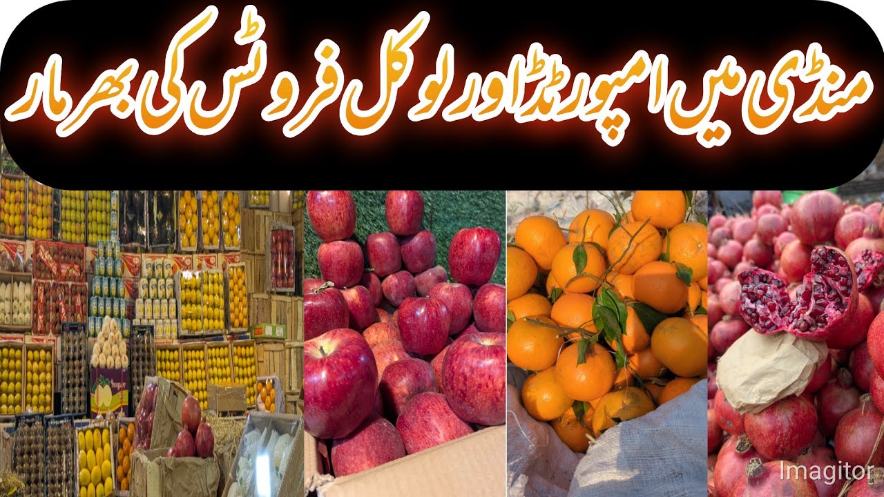 Winter Fresh Fruits Update | Citrus Season Full Swing | Imported٫ Local Fruits Latest Prices Vlog |