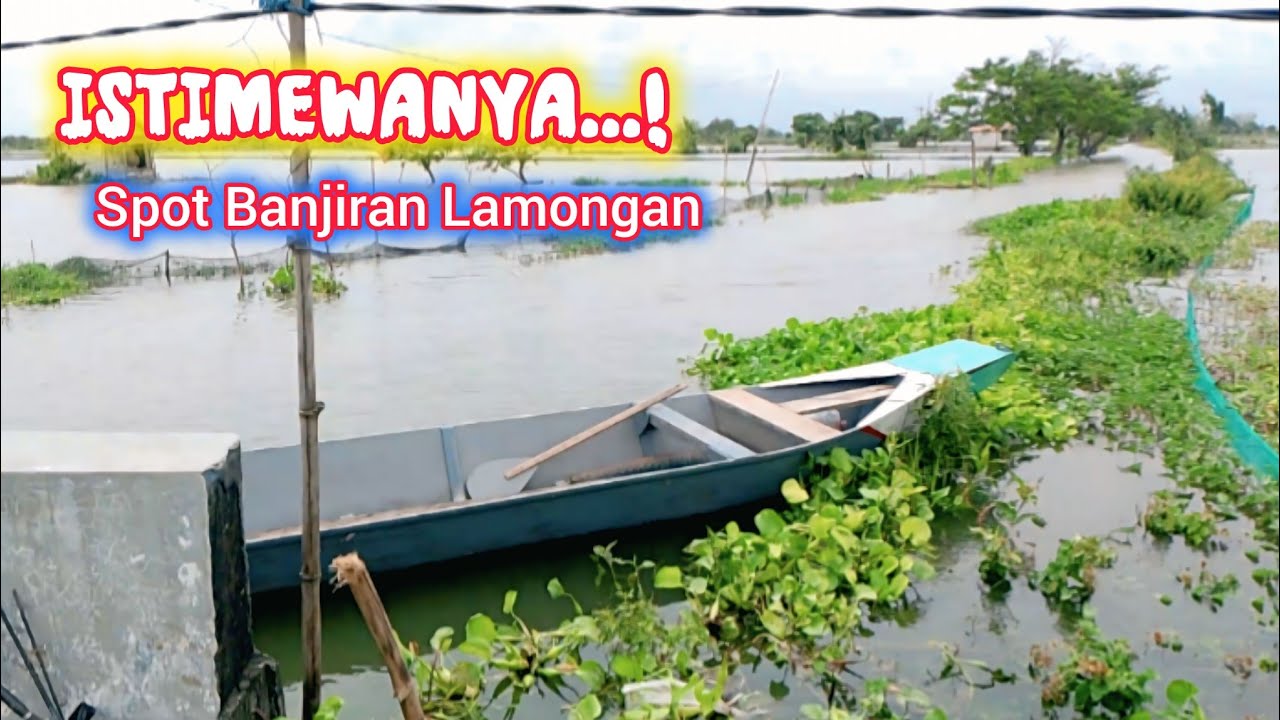 Benar Benar istimewa Spot banjiran ini,, banyak pemancing pada panen ikan nila