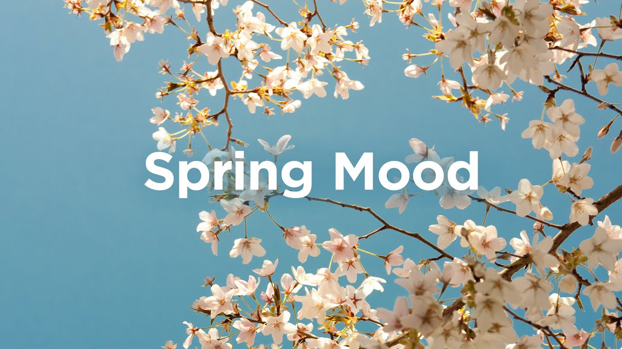 Spring Mood Playlist 🌿 Chill Vibes for Sunny Days 🌷