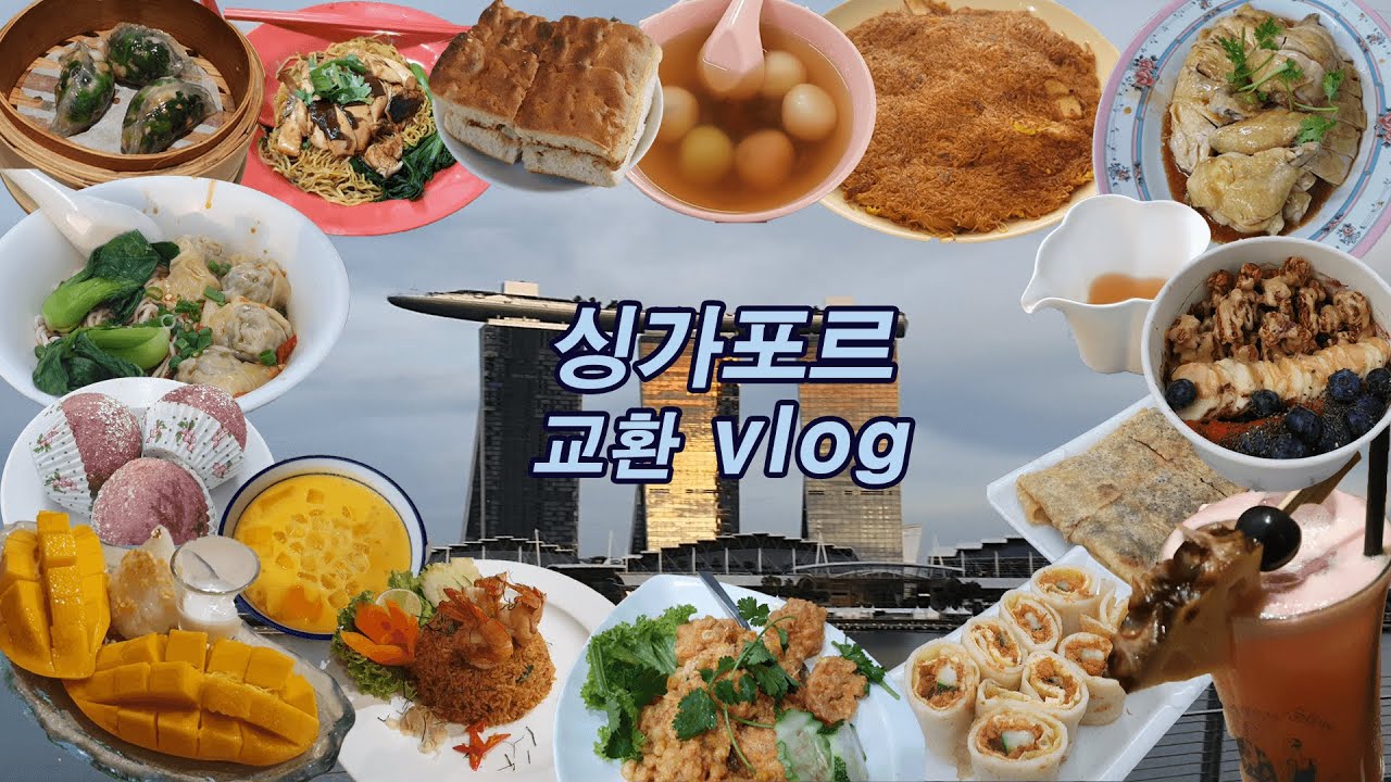 싱가포르 교환학생 브이로그/ 중국식 차, 디저트 맛집/ 피크닉, 하이킹 장소/ 치킨 라이스, 딤섬, 동북소주