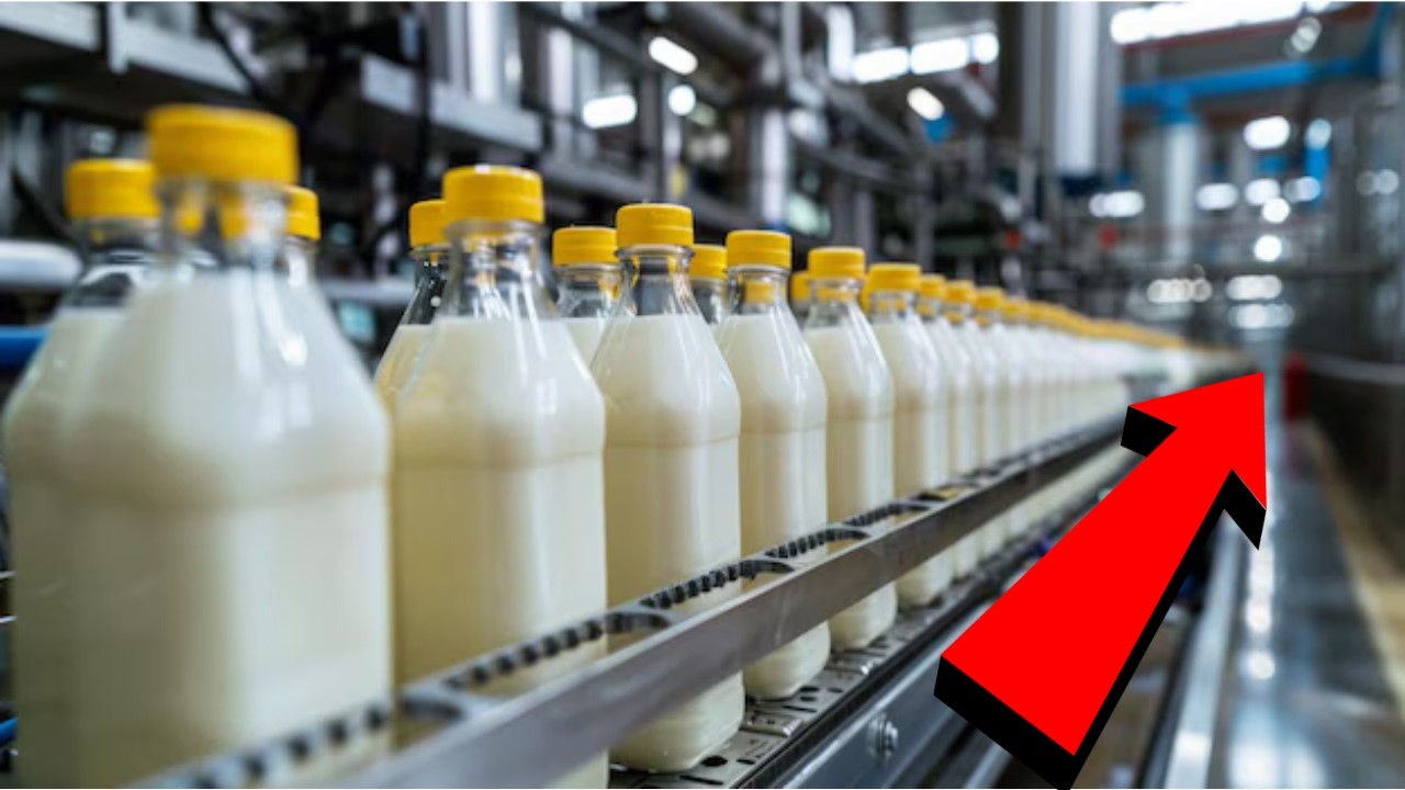HOW PLANT-BASED MILKS Are MADE in Factories 🥛| Cashew Milk