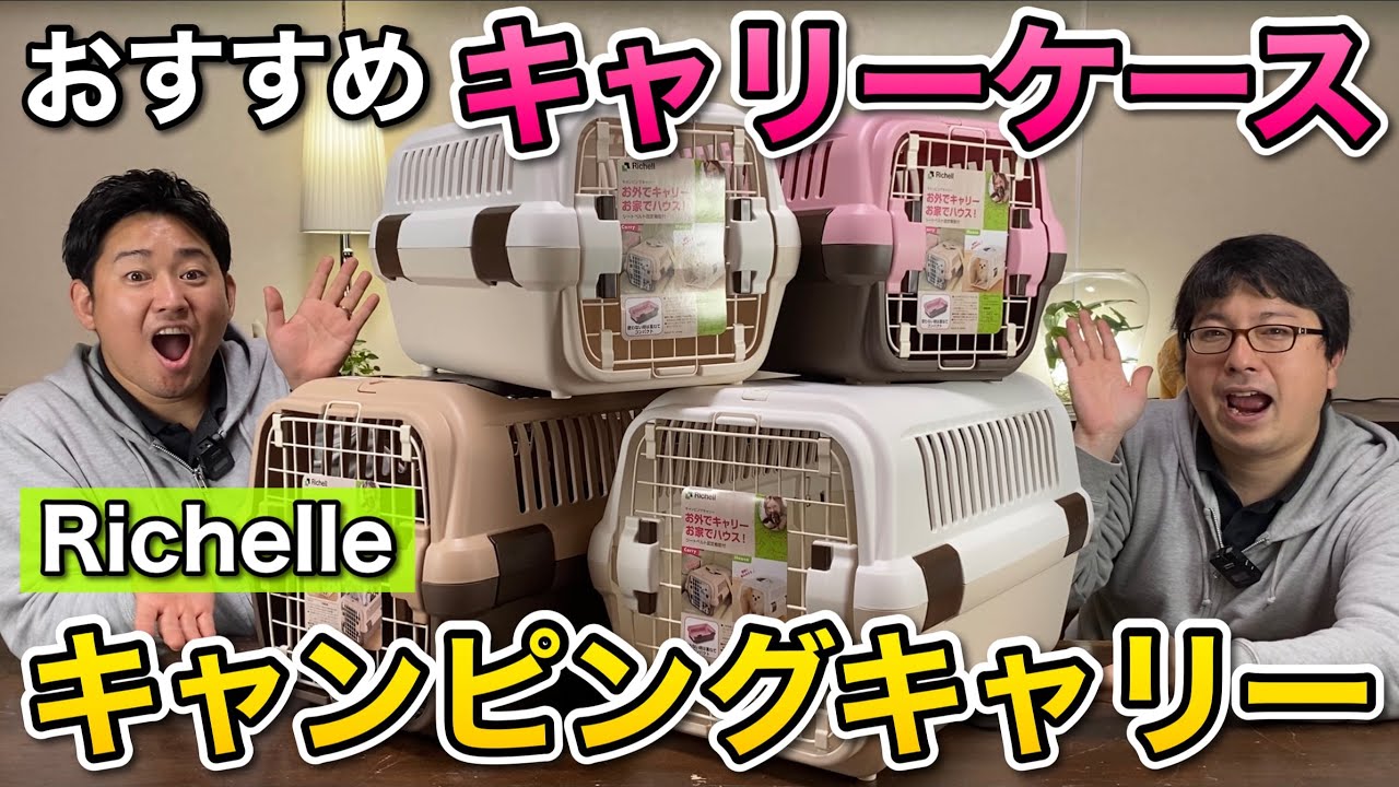 【使いやすい王道のペット用ハードキャリー】リッチェルのキャンピングキャリーケースを、ペットショップ店長が徹底解説します！
