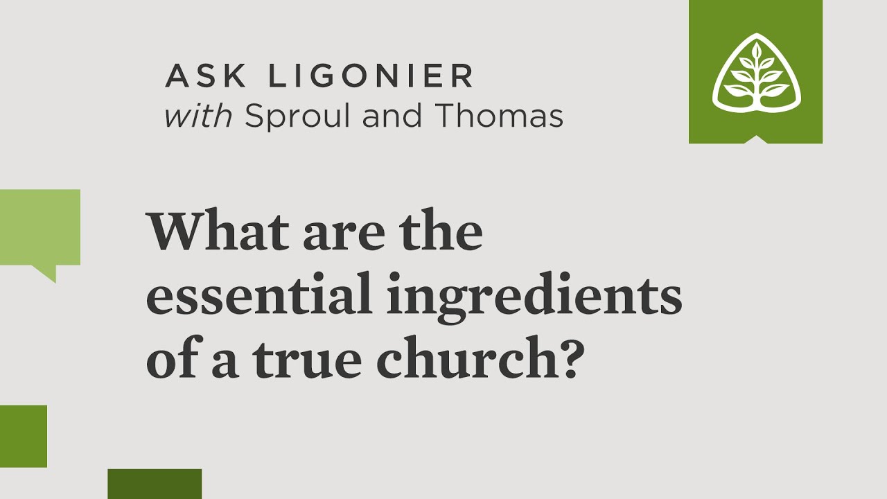 What are the essential ingredients of a true church?