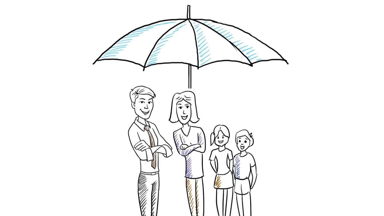 Asset Protection Attorney