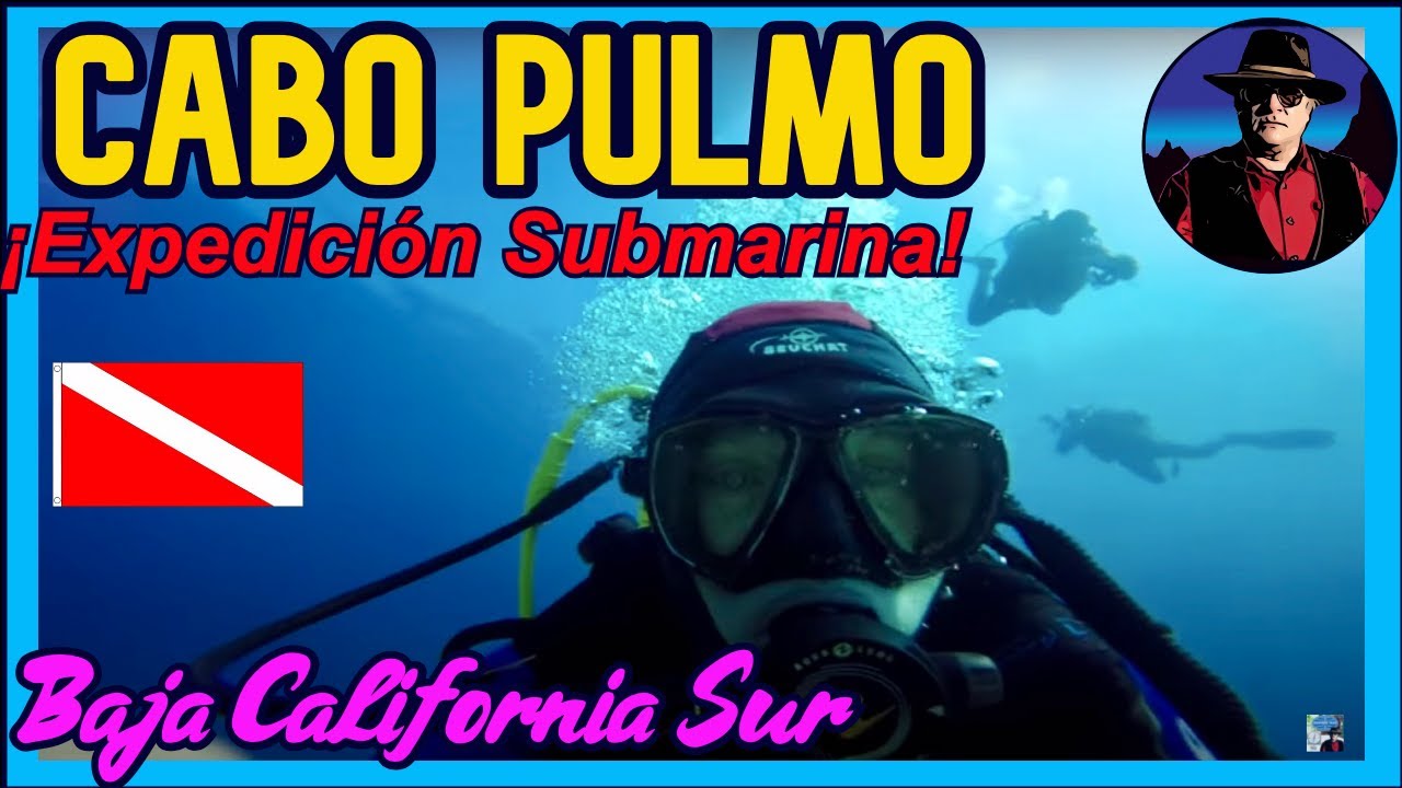 Cabo Pulmo, Extraordinario Arrecife