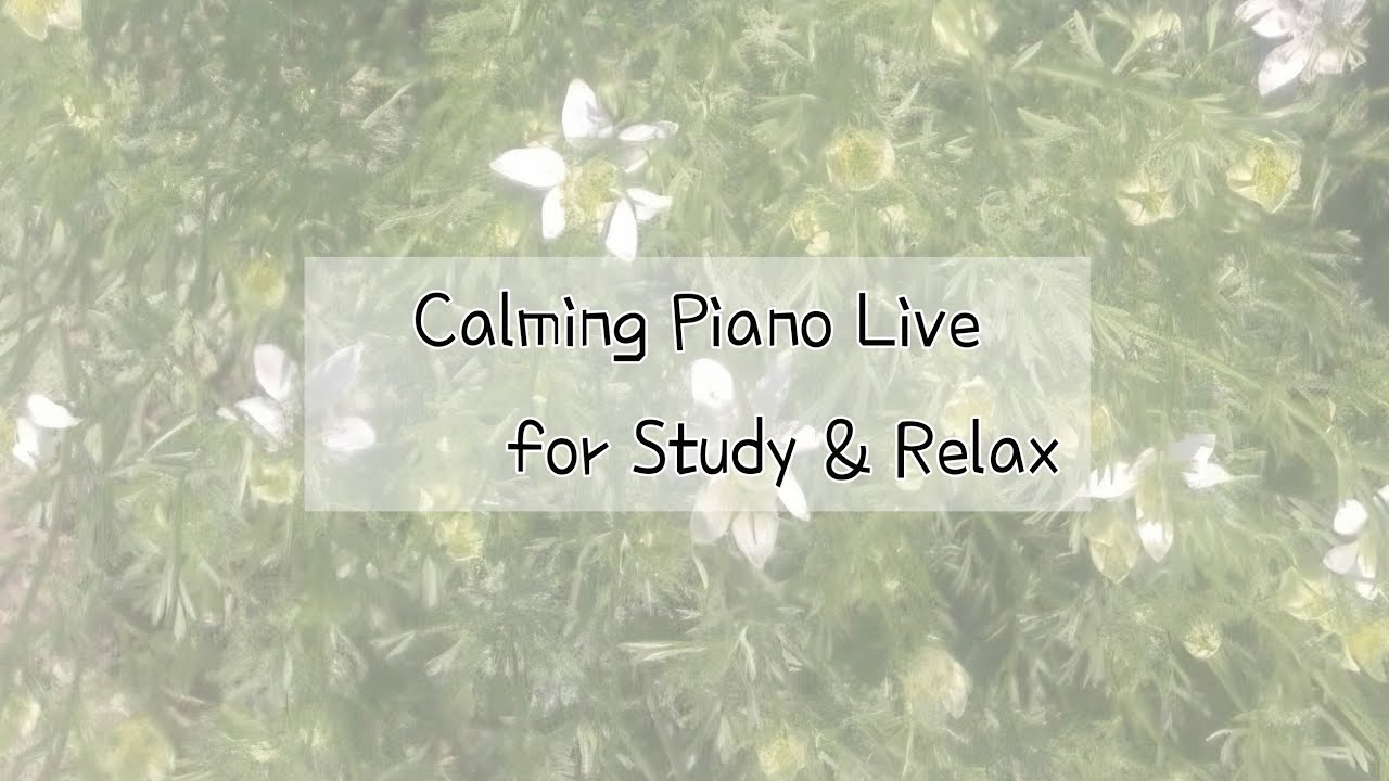 [LIVE] Soft Piano Practice 🌙 | Focus & Relax Music