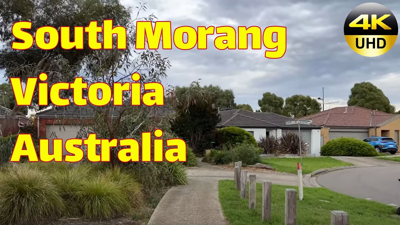 Morning Walk with Grey Kangaroos at Melbourne South Morang Victoria Australia | Sydney Walking Tour