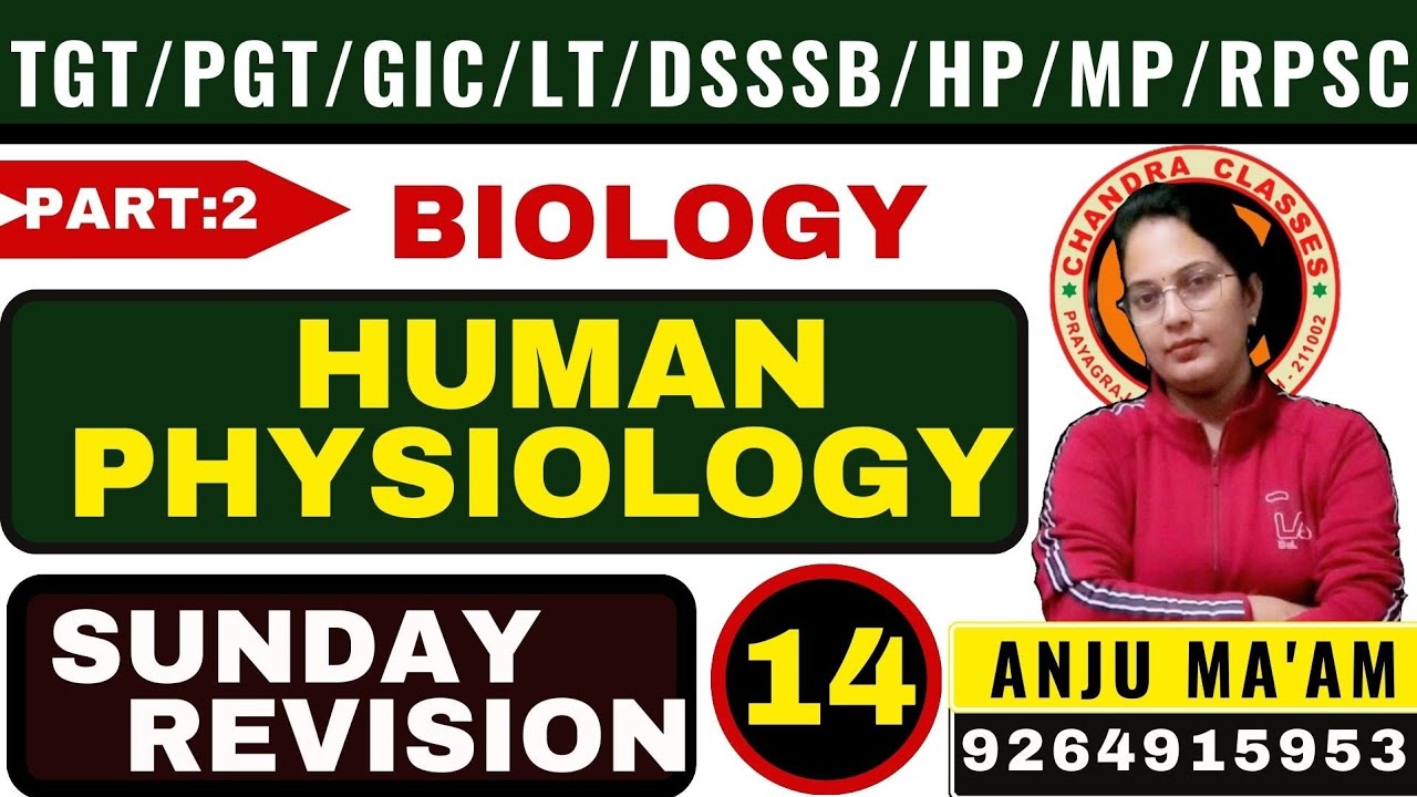 HUMAN PHYSIOLOGY #Part 2|| SUNDAY REVISION 14 #TGT,PGT,LT,KVS,NVS,DSSSB ||ANJU MAM#CHANDRA CLASSES