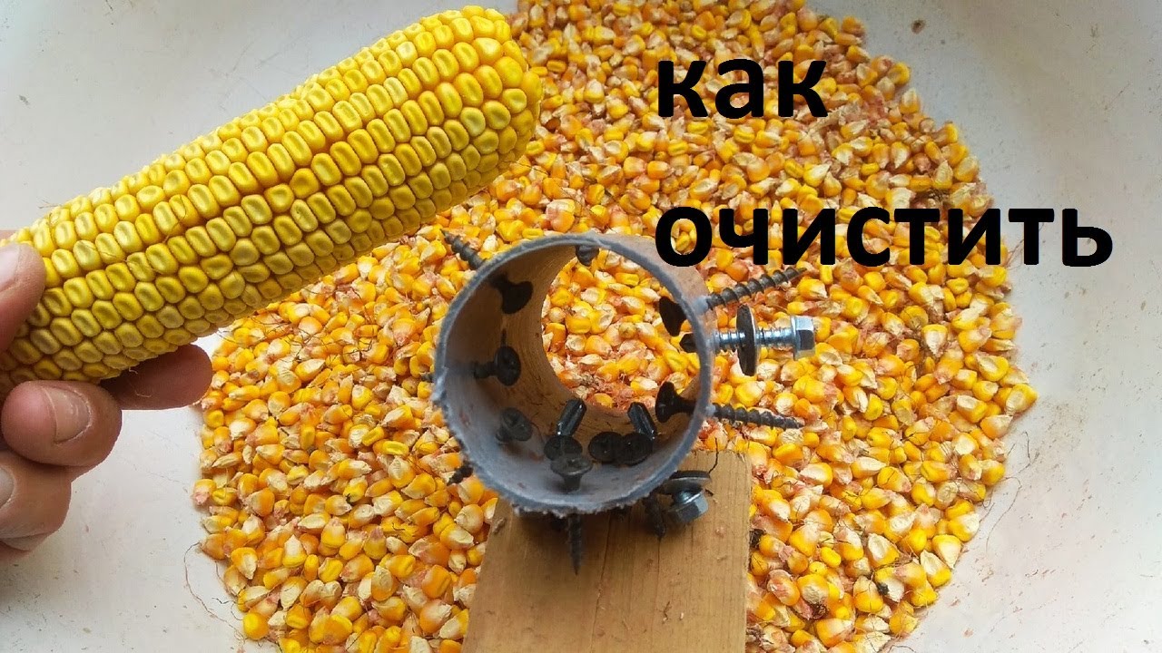 как очистить кукурузу от початка, простая приспособа своими руками за 1 минуту