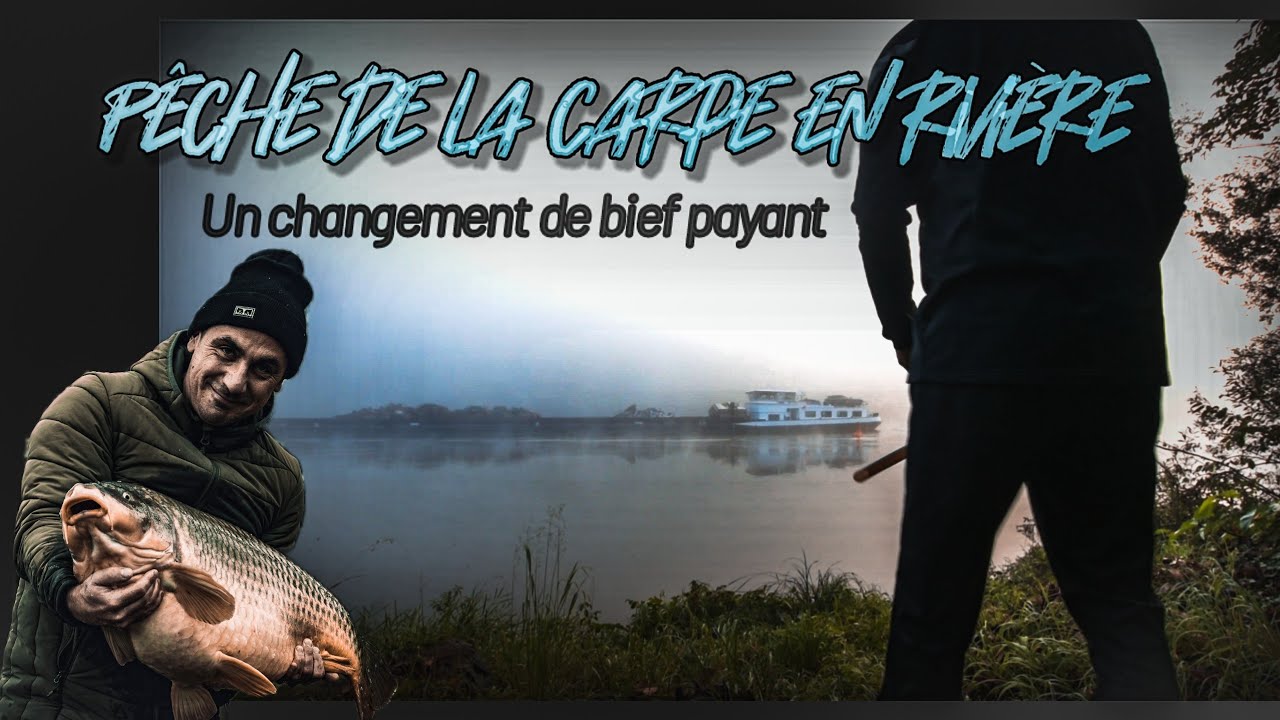 Pêche de la carpe en rivière sur la Moselle. Un changement de bief s'impose