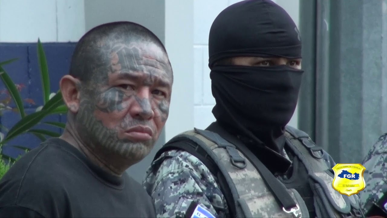 Fiscalía golpea 13 clicas de la Mara Salvatrucha a nivel nacional