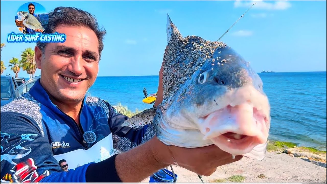 İSTANBUL’DA DEV MİNEKOP #balıkavı #fishing #bigfish #oltabalıkçılığı #fish #balık #fpy