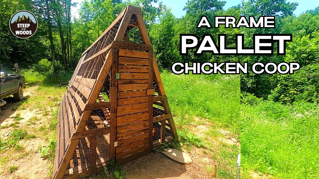 Как построить курятник из деревянных поддонов типа А
