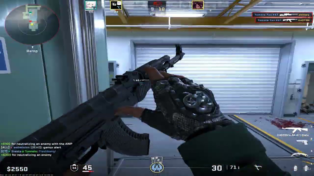 what kind of counter strike is this