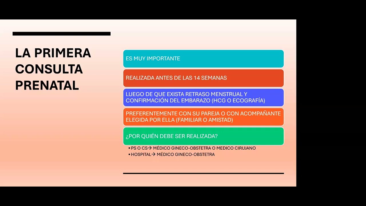 TELECAPACITACION SEMANA DE LA MATERNIDAD SALUDABLE   IMPORTANCIA DEL CONTROL PRENATAL DR  STEFANO AR