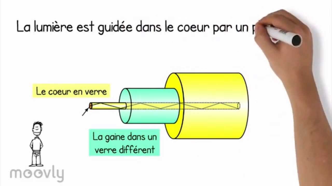 SL1_Fibre optique
