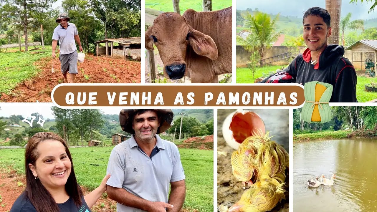 1* PAVÃO DA TEMPORADA🦚+ CHUVA ABENÇOADA + ADUBO NA TERRA👩🏻‍🌾