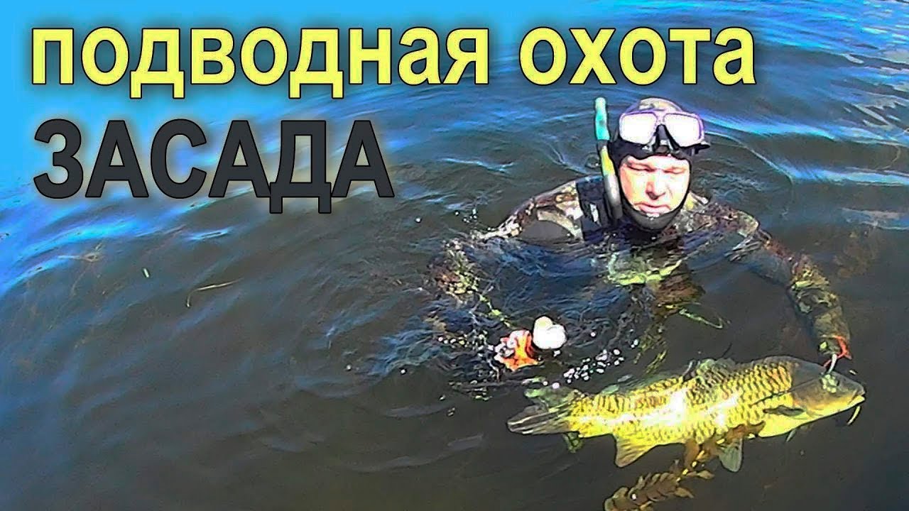 Подводная охота при помощи приема 