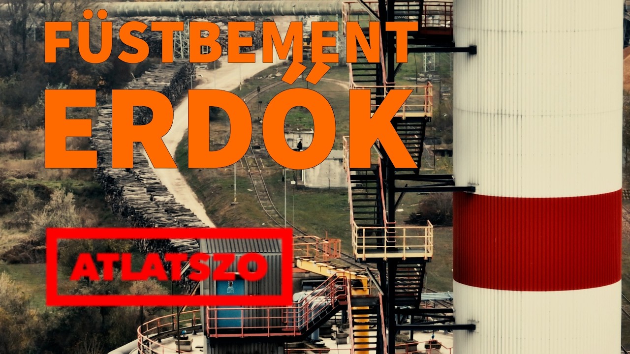 Füstbement erdők – nemzeti parkokban, védett erdőkben is zúgnak a láncfűrészek