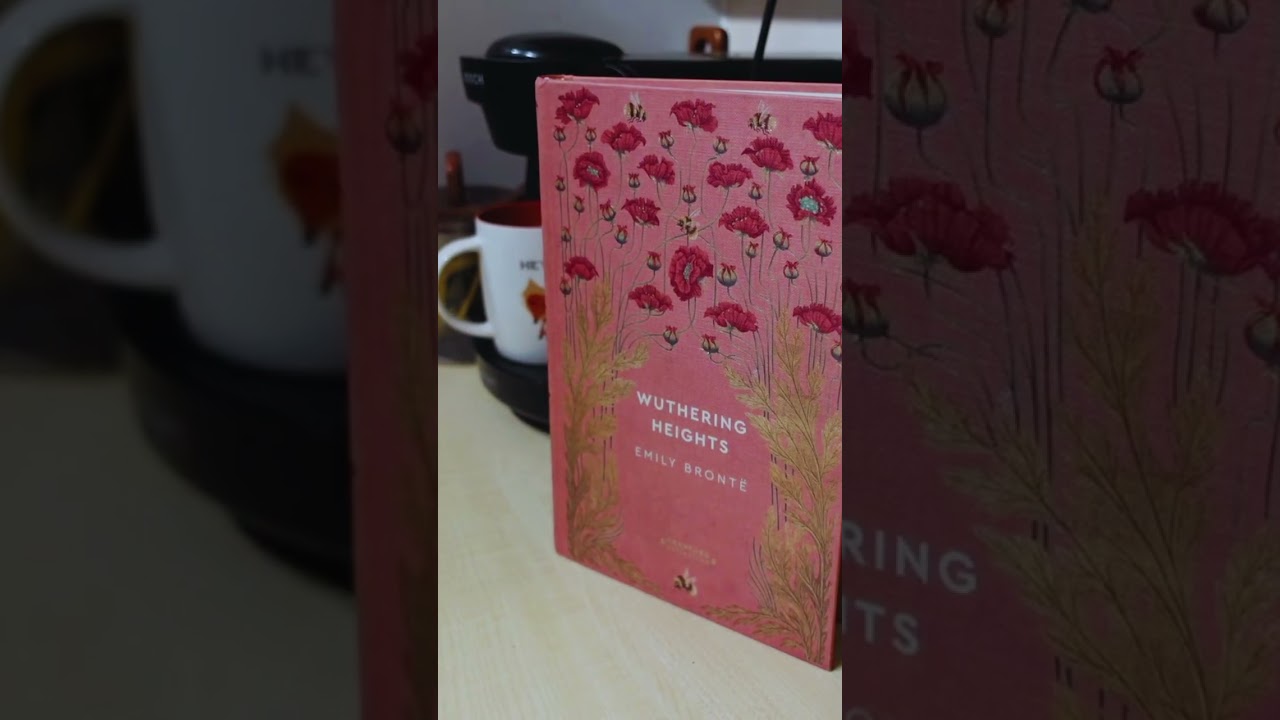 Heathcliff Isn&rsquo;t Romantic. #bookcommunity #bookdiscussion #booktok