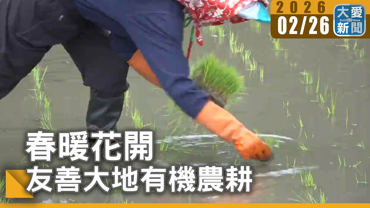 春暖花開 友善大地有機農耕｜#大愛新聞 #花蓮壽豐 #志學大愛農場